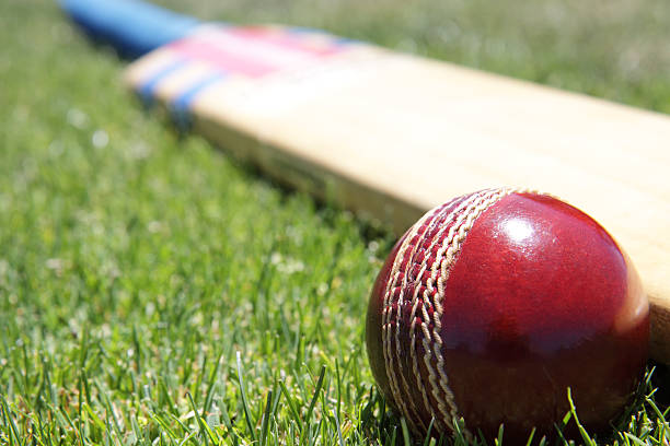 Cricket and sustainable merchandise procurement: Prioritizing ethical suppliers and materials