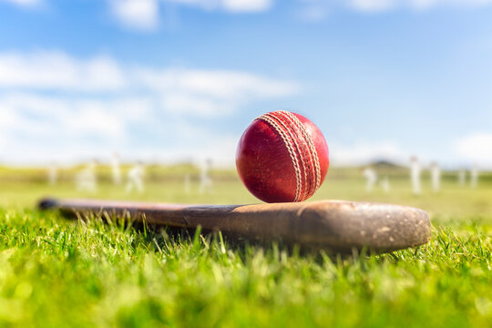 Betting on Cricket: Analyzing the Role of Form and Fitness