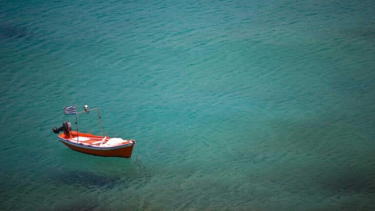 Where To Find The Cricbet99 Download Apk Old Version File?